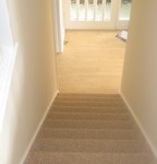 IMG_0845 IMG_0845